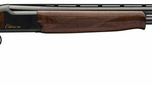 BRN CIT CXS OU 12M/28MC
