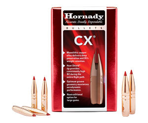 HRNDY CX 6MM .243 90 GR 50 CT