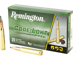 REM 30-06SPRG 150GR CL TIPPED 20/200