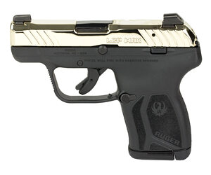 RUGER LCP MAX 380ACP 2.8' 10RD CHMP