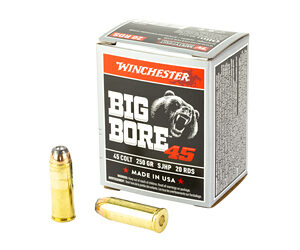 WIN BIG BORE 45 COLT 250GR 20/200