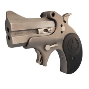 BOND ARMS RAWHIDE 22LR SS 2.5' FS