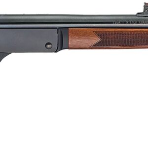HEN SINGLE SHTGN 12GA SLUG 28B