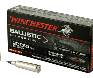 WIN BLSTC TIP 22-250 55GR 20/200