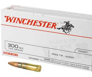 WIN USA 300BLK 125GR OT 20/200