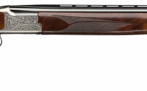BRN CIT WHT LIGHTN 12M/28MC