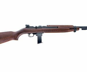 CHIAPPA M1-9 9MM 19' 10RD WD BLK