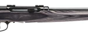 SAVAGE ARMS A17 TARGET 17HMR BL/LAM 22'
