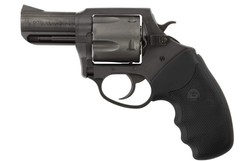 CHARTER ARMS CHARTER PITBULL 45ACP NIT 2.5'