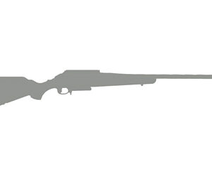 RUGER AMER PRED G2 22 ARC 22' BZ/GR
