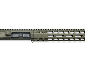 RADIAN UPPER/HANDGUARD SET 10' ODG