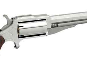 NORTH AMERICAN ARMS THE EARL 22LR/22MAG 4' SS 5SH#