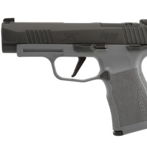 SIG SAUER P365 XL 9MM NIT/GRAY 12+1 NS #