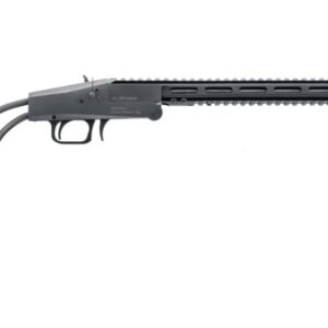 CHIAPPA FIREARMS BIG BADGER 350LEG 20'