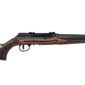 SAVAGE ARMS A22 BNS-SR 22LR 18' BL/WB TB #