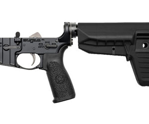 BCM CMPLT LWR RMS SPMD 1 CM BLK BLEM