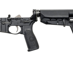 BCM CMPLT LWR RMS SPMD 2 WB BLK BLEM