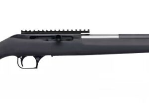 MAGNUM RESEARCH MAGNUM LT 22MAG STRAIGHT PULL