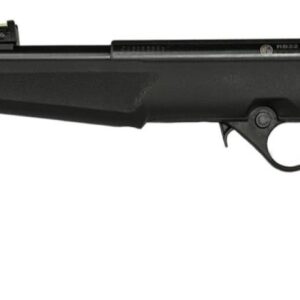 ROSSI RB22 22LR BLK/SYN FLAG 16.5' #