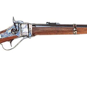 CHIAPPA FIREARMS 1874 SHARPS 45-70 CCH/WD 22'