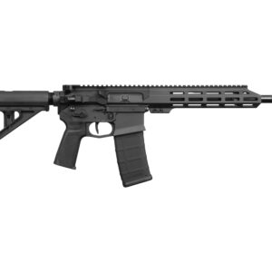 US PALM STORM CAT4 5.56 BLK 30+1 11.5'