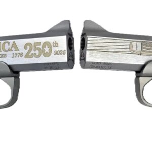 BOND ARMS 250TH REDNECK 45-70 SS 4.25'