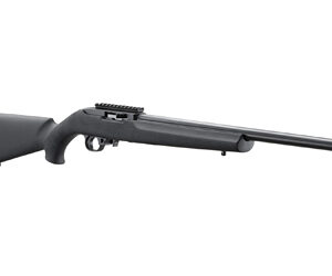 RUGER 10/22 20' TB HOGUE 10RD BLK