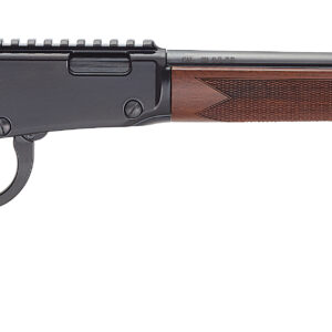 HEN BANDIT LVR 22WMR