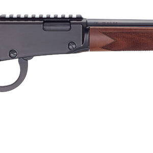 HEN SPORTER RIFLE LVR 22LR