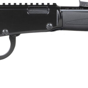 HEN X MODEL LVR 22WMR
