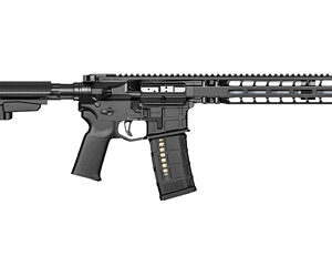 RADIAN MODEL 1 10.5' 223WLD BLK PSTL