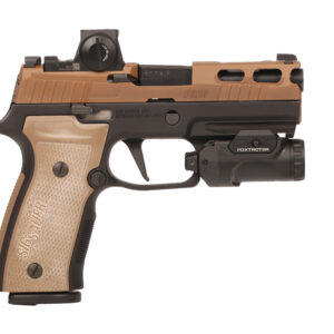 SIG SAUER P320 AXG 2TONE 3.9' FXTR 21+1#
