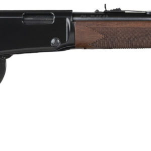 HEN WESTERN LVR 22WMR