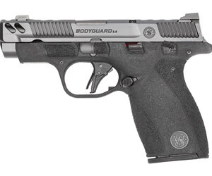 S&W BODYGRD 2 CC 380ACP 3.1' TS CA