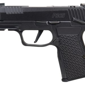 SIG SAUER P365 AXG LUXE 380ACP MS CA