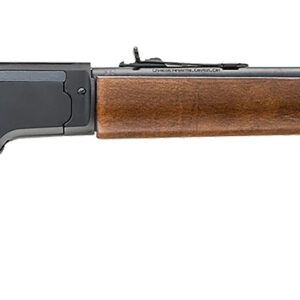 CHIAPPA FIREARMS LA BOOTLEG TAKEDOWN 22LR 12'