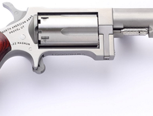 NORTH AMERICAN ARMS SIDEWINDER 22M/22LR 2.5' SS