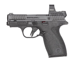 S&W BDYGRD 2.0 RFX1 380ACP 12RD NTS