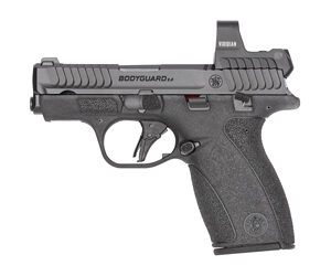 S&W BDYGRD 2.0 RFX1 380ACP 10RD TS